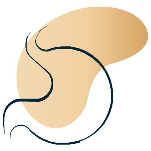 Favicon - Dra Lilian Curvelo
